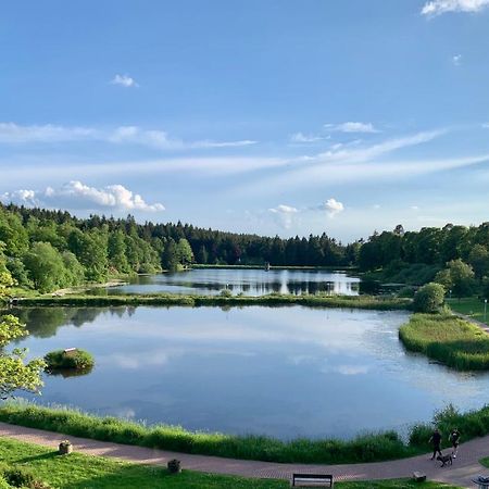 Apartment Seeblick Am Bocksberg - Hahnenklee "Vier Jahreszeiten" Goslar Buitenkant foto