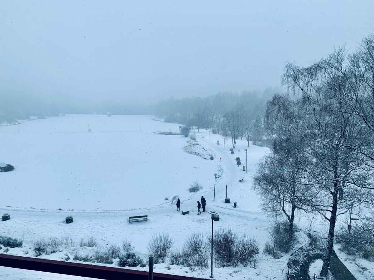 Apartment Seeblick Am Bocksberg - Hahnenklee "Vier Jahreszeiten" Goslar Buitenkant foto